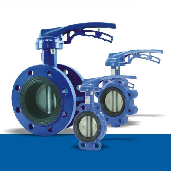 Soft sealing center line butterfly valve